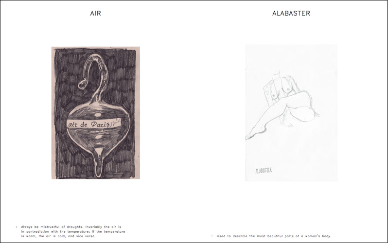 Gareth Long - The Illustrated Dictionary of Received Ideas - Sample Spread